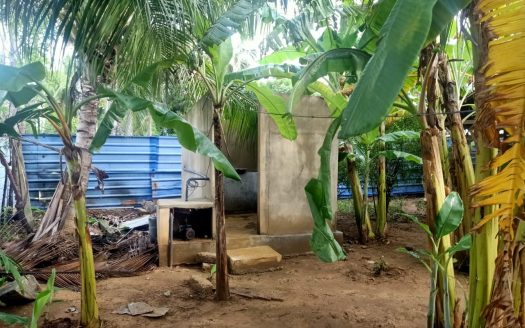 Poultry farm for sale at Moolai,vattukottai Including hens)