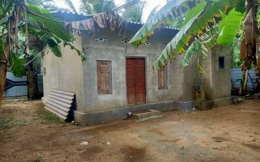 Poultry farm for sale at Moolai,vattukottai Including hens)