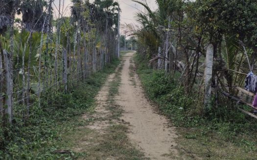 Land for sale with a newly built small house in eluthumadduval south erai