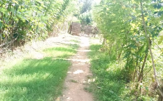 Land for sale in 2nd street in Samanangulam