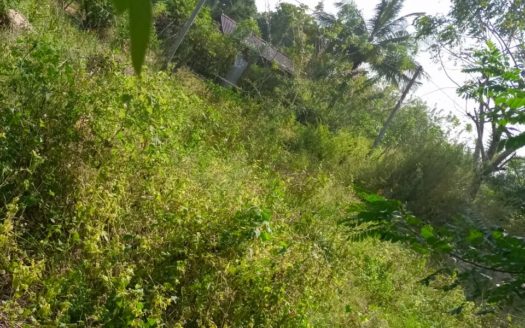 Land for sale in 2nd street in Samanangulam