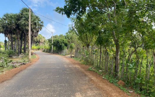 Land for sale in Eluthumaduval North