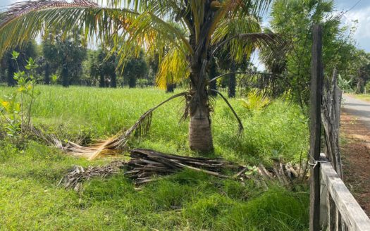 Land for sale in Eluthumaduval North