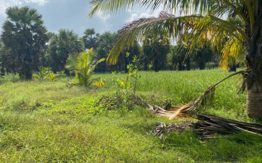 Land for sale in Eluthumaduval North