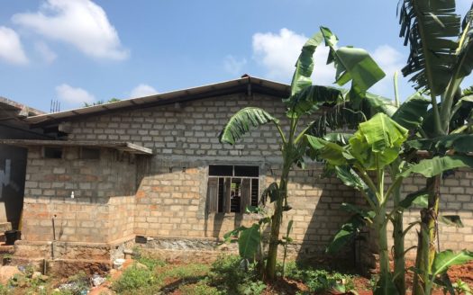 House and land for sale with commercial building at Punnalaikattuvan, Evinai Road.