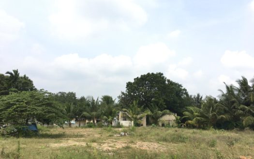 Land for sale in Kaithady East.