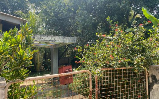 House for sale 200m from Navalar Road (Annasathira Lane)