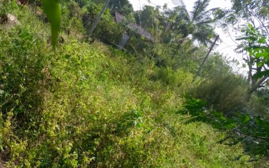 Land for sale in 2nd street in Samanangulam