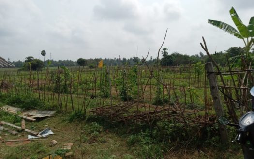 Land for sale in Kokuvil East (Near the new petrol station)