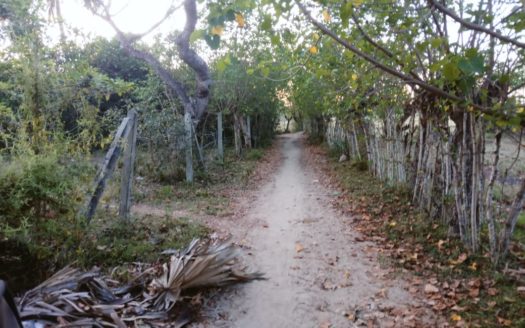 Land with house for sale at Nunavil