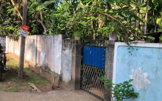 House for sale with a shop in Ukkulankulam.🏠👇