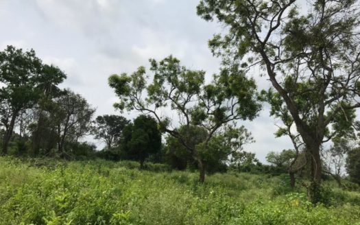 Land for Long term lease in Vavuniya Moontrumurippu
