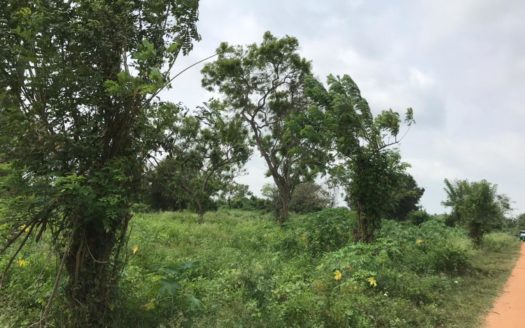 Land for Long term lease in Vavuniya Moontrumurippu