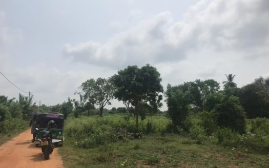 Land for Long term lease in Vavuniya Moontrumurippu