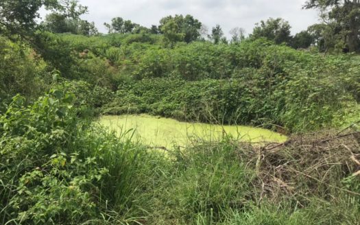 Land for Long term lease in Vavuniya Moontrumurippu