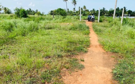 House with land for sale in Chunnakam