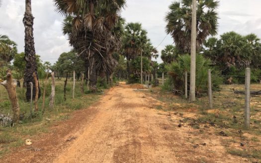 Land for sale in iyakkchchi.