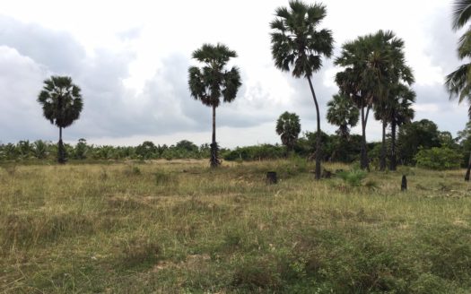 Land for sale in iyakkchchi.