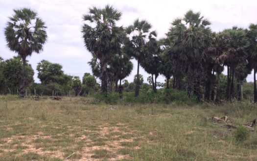 Land for sale in iyakkchchi.