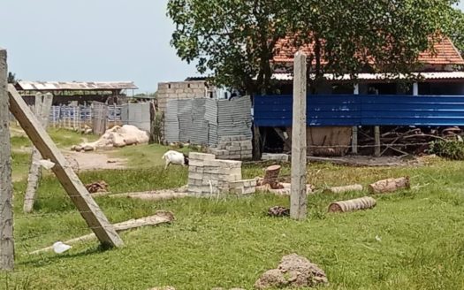 Land for sale in Aarukalmadam