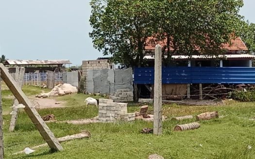Land for sale in Aarukalmadam