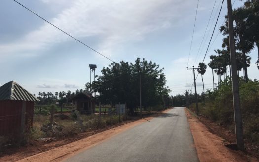 Land for sale at Achchelu Road (Neerveli Cross Road) near Punnalaikattuvan Junction