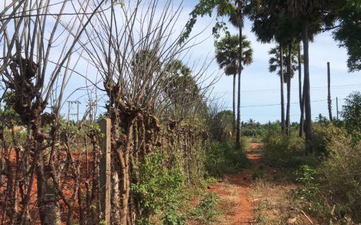 Land for sale at Achchelu Road (Neerveli Cross Road) near Punnalaikattuvan Junction