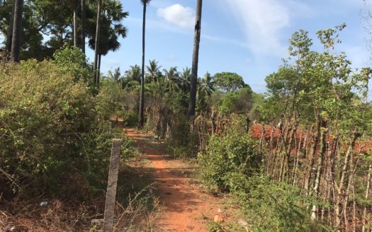 Land for sale at Achchelu Road (Neerveli Cross Road) near Punnalaikattuvan Junction