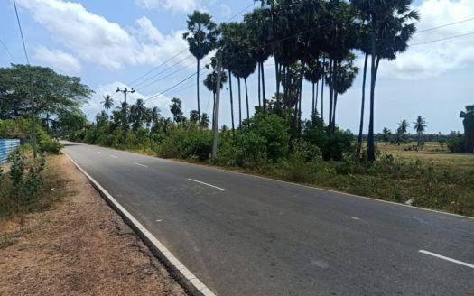 Land for sale in Keerimalai Road, Pandattarippu