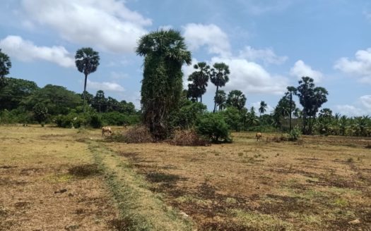 Land for sale in Keerimalai Road, Pandattarippu