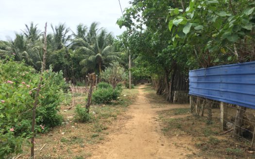 Land for sale in Madduvil