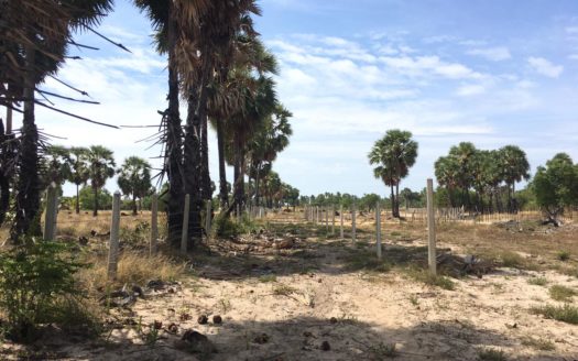 Land for sale in iyakkchchi