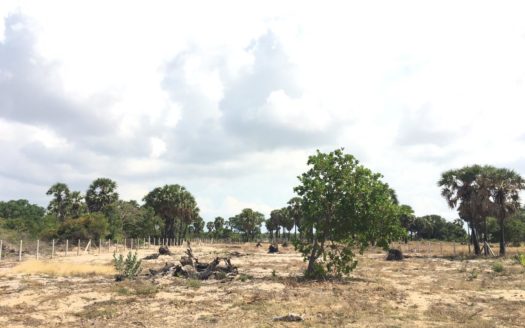 Land for sale in iyakkchchi