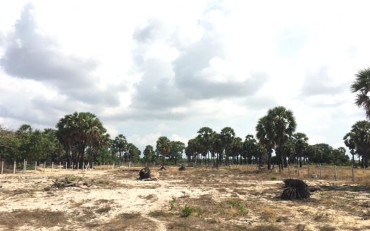 Land for sale in iyakkchchi