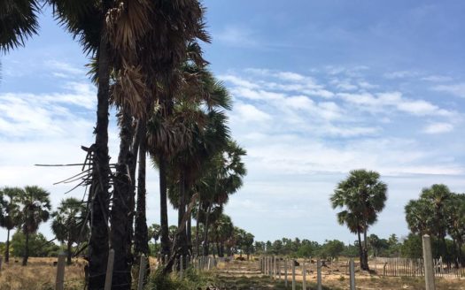 Land for sale in iyakkchchi