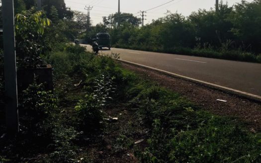 Land for sale on the road facing Thellipalai hospital road