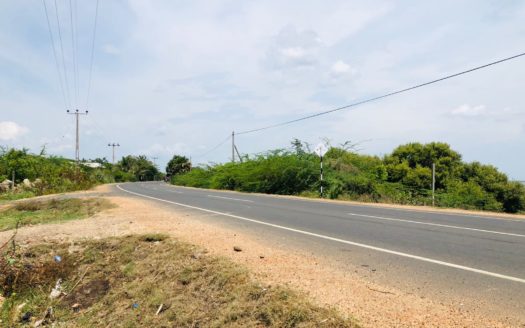 Coconut Estate for Sale in Kakkaithevu