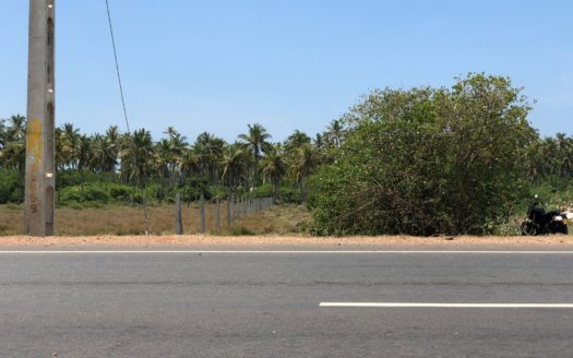 Coconut Estate for Sale in Kakkaithevu