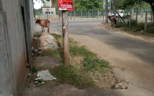 Guest house and hostel for sale in Vavuniya Kandy Road