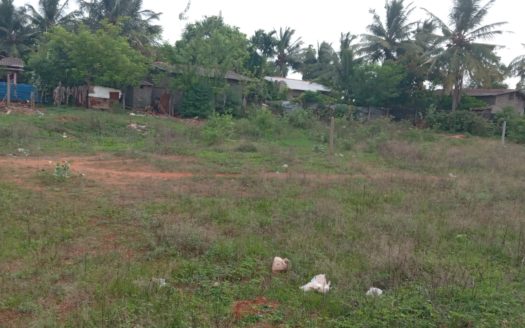 Land for sale in kopay rasapathai