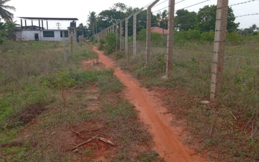 Land for sale in kopay rasapathai