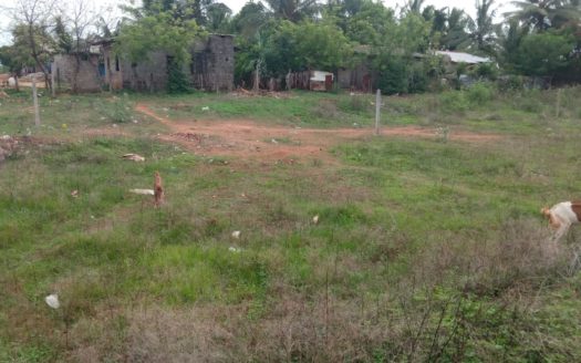 Land for sale in kopay rasapathai