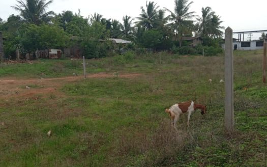 Land for sale in kopay rasapathai