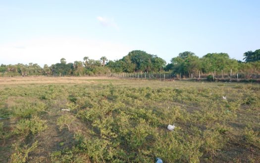 Field land for sale in Point Pedro