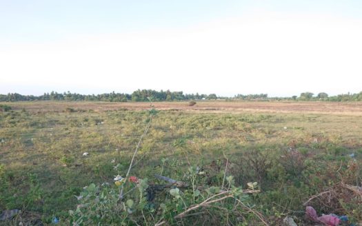 Field land for sale in Point Pedro