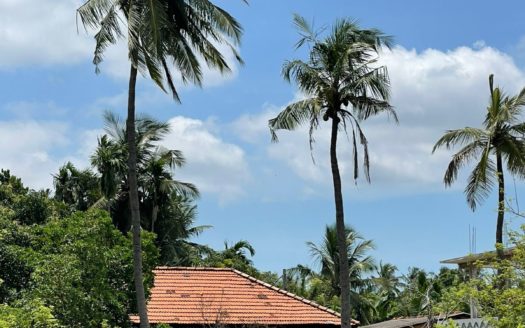 Land for sale in urumpirai