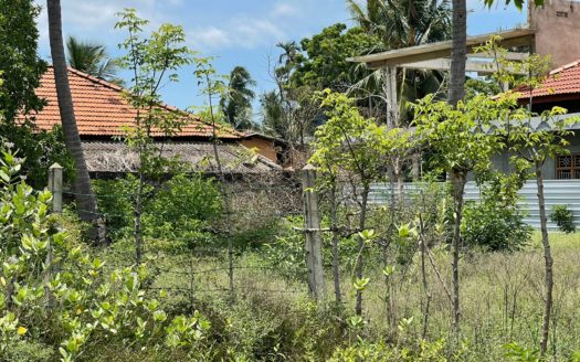 Land for sale in urumpirai