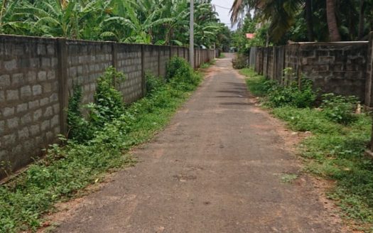 Land for sale opposite Palani Murugan Temple on Irupalai Road in Kondavil