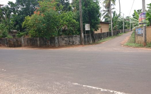 Land for sale opposite Palani Murugan Temple on Irupalai Road in Kondavil