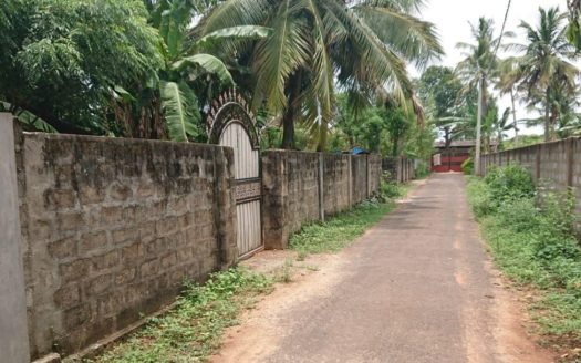 Land for sale opposite Palani Murugan Temple on Irupalai Road in Kondavil